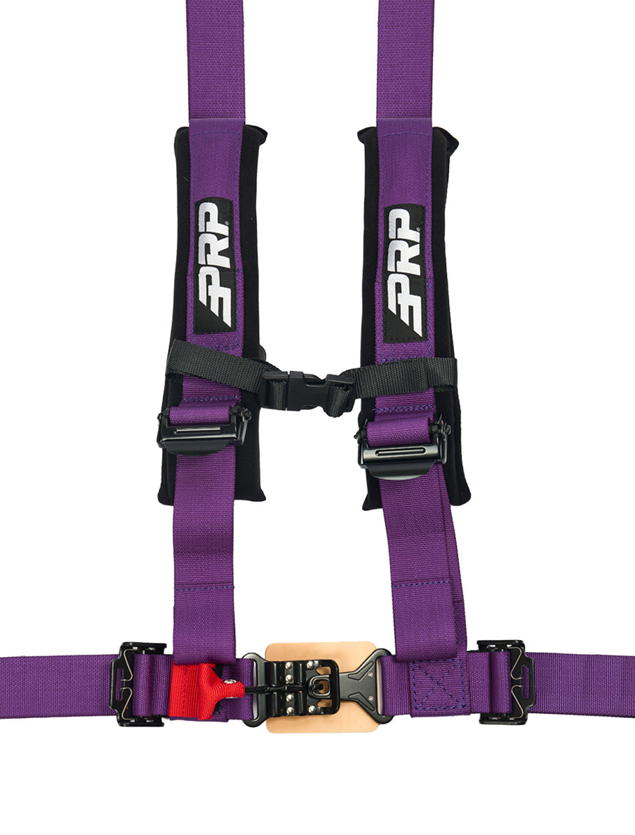 4.2 Harness with Latch and Link Lap Belt