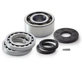 FDK FRONT DIFF KIT BEARING AND SEAL DIY - POLARIS - 2017-24 XP 1000 / TURBO / XPEDITION
